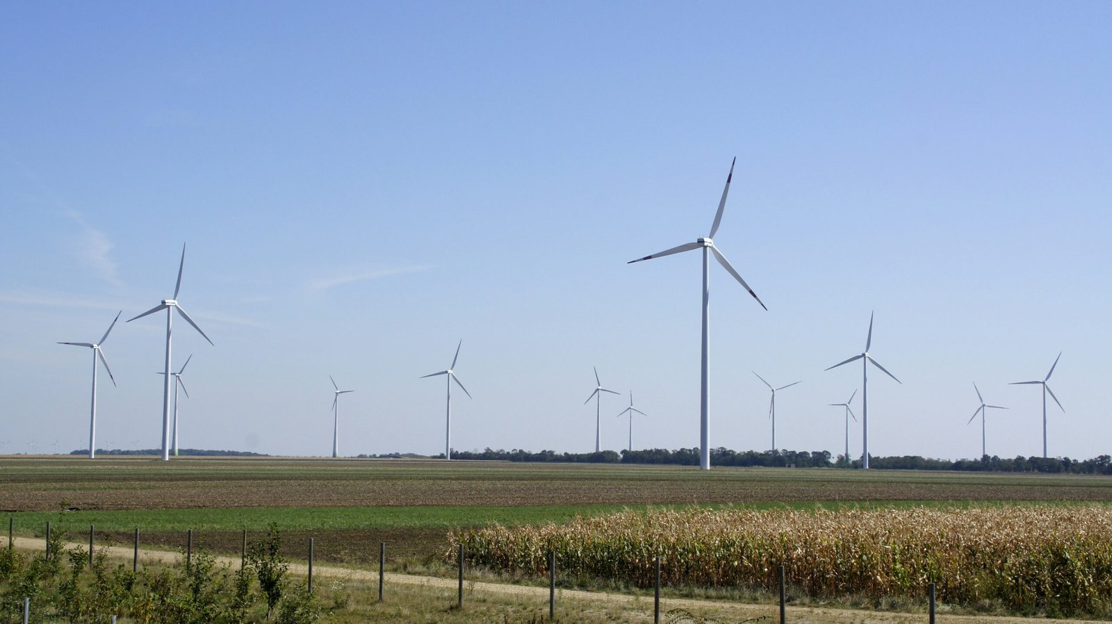 A row of wind turbines in a field